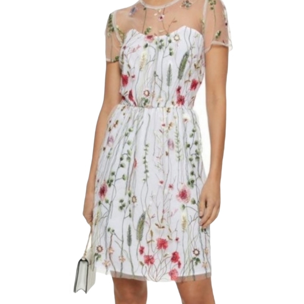 Walter Baker Embroidered Mesh Floral Dress 6